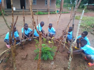 Several children in blue uniforms are building a structure with sticks arranged in a circle around a plant, outside a brick building.